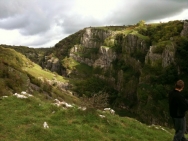 Cheddar20100901