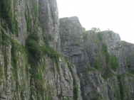Cheddar20100906