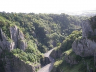 Cheddar20100909