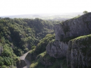 Cheddar20100910