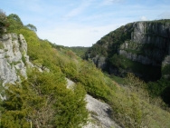 Cheddar20100911