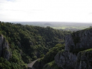 Cheddar20100918