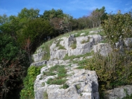Cheddar20100922