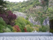 Cheddar20100929