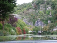 Cheddar20100932