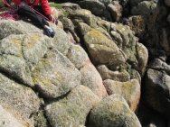 Conwall20100424