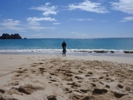 Cornwall May 7
