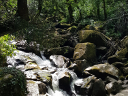 20190713_103140