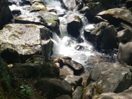 20190713_103203