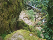 20190713_144826