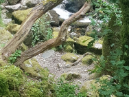 20190713_144900