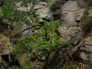 20190713_163240