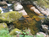 20190713_180542