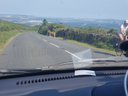 20190714_164740