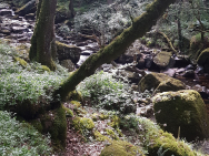 IMG-20190713-WA0000