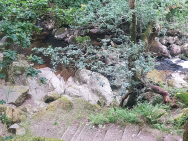 IMG-20190713-WA0003