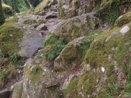 IMG-20190713-WA0005
