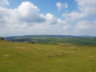 IMG-20190714-WA0001