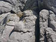 IMG-20190714-WA0003