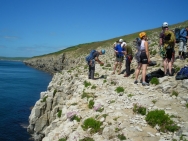 dorset20100616