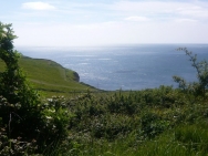 dorset20100624
