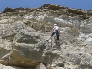 dorset20100635