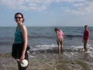 dorset20100641