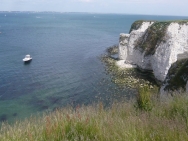 dorset20100645