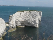dorset20100649