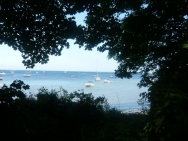 dorset20100655