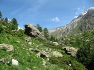 ecrins201006044
