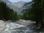 ecrins201006069