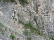 ecrins201006083