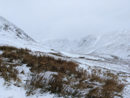 PXL_20220219_100209464