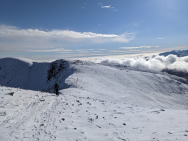 PXL_20220219_135030100