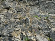 Anna-finishing-up-Osiris