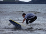 gower201008001