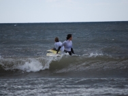 gower201008003