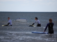 gower201008004