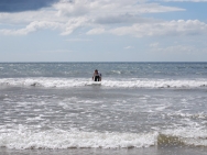 gower201008007