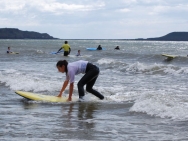 gower201008010