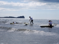 gower201008011