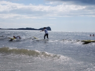 gower201008012