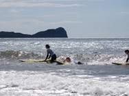 gower201008016