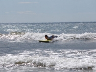 gower201008017