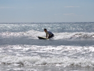 gower201008018