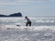 gower201008021