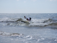 gower201008023