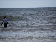 gower201008035