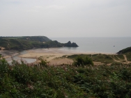 gower201008037